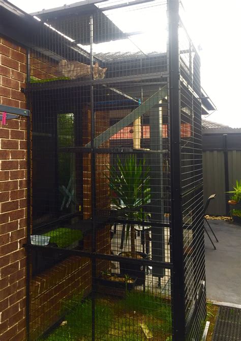 electrical enclosures bunnings|cat enclosures for outdoors Bunnings.